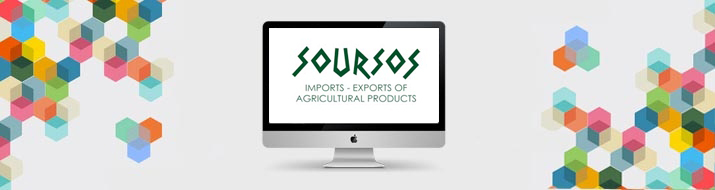 Κατασκευή Ιστοσελίδας - Soursos.gr